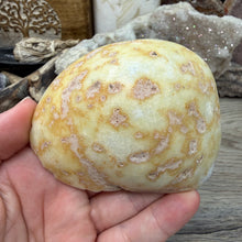 Load image into Gallery viewer, Agate Polished Geode #02
