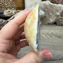 Load image into Gallery viewer, Agate Polished Geode #02
