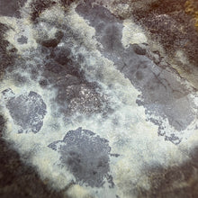 Load image into Gallery viewer, Agate Polished Geode #03
