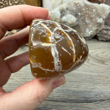 Load image into Gallery viewer, Agate Polished Geode #05
