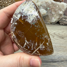 Load image into Gallery viewer, Agate Polished Geode #05
