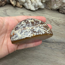 Load image into Gallery viewer, Agate Polished Geode #04
