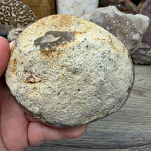 Bild in Galerie-Viewer laden, Agate Polished Geode #06
