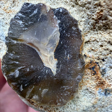 Bild in Galerie-Viewer laden, Agate Polished Geode #06
