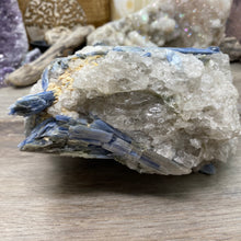 Bild in Galerie-Viewer laden, Blue Kyanite Cluster #06
