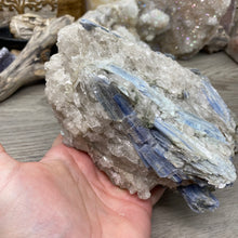 Bild in Galerie-Viewer laden, Blue Kyanite Cluster #06
