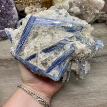 Bild in Galerie-Viewer laden, Blue Kyanite Cluster #06
