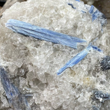 Bild in Galerie-Viewer laden, Blue Kyanite Cluster #06
