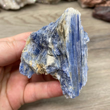 Bild in Galerie-Viewer laden, Blue Kyanite Cluster Parcel
