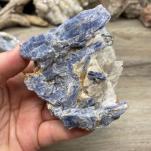 Bild in Galerie-Viewer laden, Blue Kyanite Cluster Parcel
