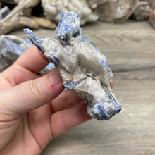 Bild in Galerie-Viewer laden, Blue Kyanite Cluster Parcel
