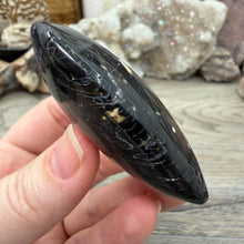 Bild in Galerie-Viewer laden, Black Tourmaline with Hematite Heart #10
