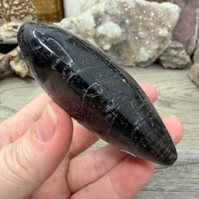 Carica l'immagine nel visualizzatore di Gallery, Black Tourmaline with Hematite Heart #20
