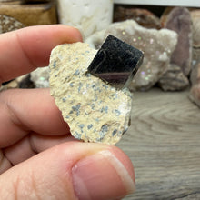 Load image into Gallery viewer, Cubic Pyrite on Matrix from Spain #01
