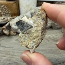 Load image into Gallery viewer, Cubic Pyrite on Matrix from Spain #01
