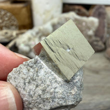 Bild in Galerie-Viewer laden, Cubic Pyrite on Matrix from Spain #02
