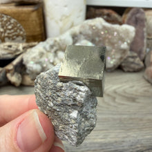 Bild in Galerie-Viewer laden, Cubic Pyrite on Matrix from Spain #02
