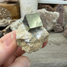 Chargez l'image dans la visionneuse de la galerie, Cubic Pyrite on Matrix from Spain #03

