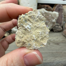 Chargez l'image dans la visionneuse de la galerie, Cubic Pyrite on Matrix from Spain #03
