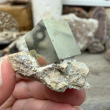 Chargez l'image dans la visionneuse de la galerie, Cubic Pyrite on Matrix from Spain #03
