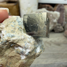 Chargez l'image dans la visionneuse de la galerie, Cubic Pyrite on Matrix from Spain #03
