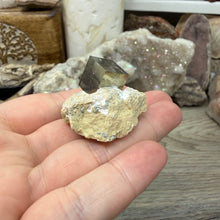 Chargez l'image dans la visionneuse de la galerie, Cubic Pyrite on Matrix from Spain #03
