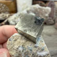 Load image into Gallery viewer, Cubic Pyrite on Matrix from Spain #04
