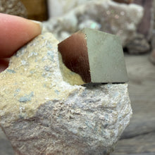 Load image into Gallery viewer, Cubic Pyrite on Matrix from Spain #05
