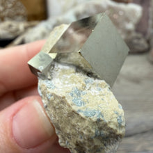 Load image into Gallery viewer, Cubic Pyrite on Matrix from Spain #05
