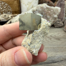 Carica l'immagine nel visualizzatore di Gallery, Cubic Pyrite on Matrix from Spain #06
