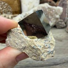 Carica l'immagine nel visualizzatore di Gallery, Cubic Pyrite on Matrix from Spain #06

