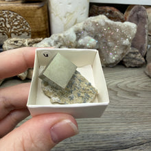 Carica l'immagine nel visualizzatore di Gallery, Cubic Pyrite on Matrix from Spain #06
