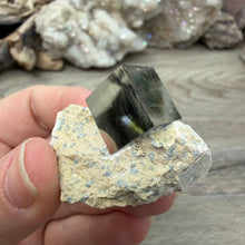 Carica l'immagine nel visualizzatore di Gallery, Cubic Pyrite on Matrix from Spain #07
