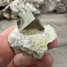 Carica l'immagine nel visualizzatore di Gallery, Cubic Pyrite on Matrix from Spain #07
