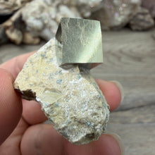 Carica l'immagine nel visualizzatore di Gallery, Cubic Pyrite on Matrix from Spain #07
