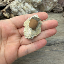 Carica l'immagine nel visualizzatore di Gallery, Cubic Pyrite on Matrix from Spain #07
