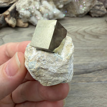 Carica l'immagine nel visualizzatore di Gallery, Cubic Pyrite on Matrix from Spain #08
