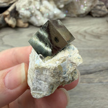 Carica l'immagine nel visualizzatore di Gallery, Cubic Pyrite on Matrix from Spain #08
