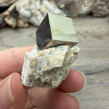 Carica l'immagine nel visualizzatore di Gallery, Cubic Pyrite on Matrix from Spain #08

