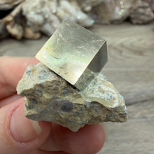Carica l'immagine nel visualizzatore di Gallery, Cubic Pyrite on Matrix from Spain #08
