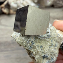 Carica l'immagine nel visualizzatore di Gallery, Cubic Pyrite on Matrix from Spain #09
