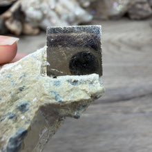 Carica l'immagine nel visualizzatore di Gallery, Cubic Pyrite on Matrix from Spain #09
