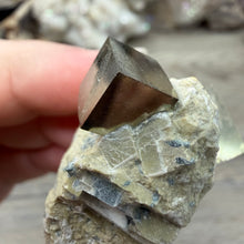 Carica l'immagine nel visualizzatore di Gallery, Cubic Pyrite on Matrix from Spain #09
