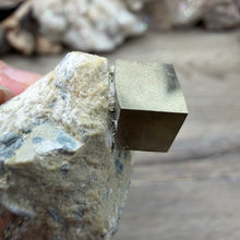 Carica l'immagine nel visualizzatore di Gallery, Cubic Pyrite on Matrix from Spain #09
