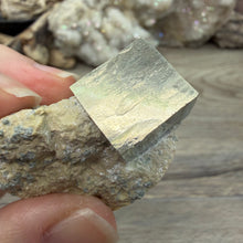 Bild in Galerie-Viewer laden, Cubic Pyrite on Matrix from Spain #10
