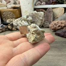 Bild in Galerie-Viewer laden, Cubic Pyrite on Matrix from Spain #10
