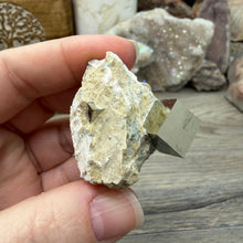 Bild in Galerie-Viewer laden, Cubic Pyrite on Matrix from Spain #11

