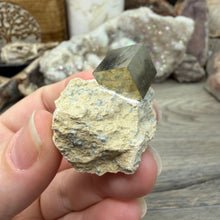 Bild in Galerie-Viewer laden, Cubic Pyrite on Matrix from Spain #11
