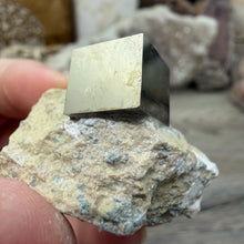 Bild in Galerie-Viewer laden, Cubic Pyrite on Matrix from Spain #11
