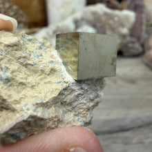 Bild in Galerie-Viewer laden, Cubic Pyrite on Matrix from Spain #11
